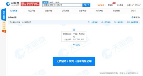 数据处理与存储支持服务 现代企业的数字基石